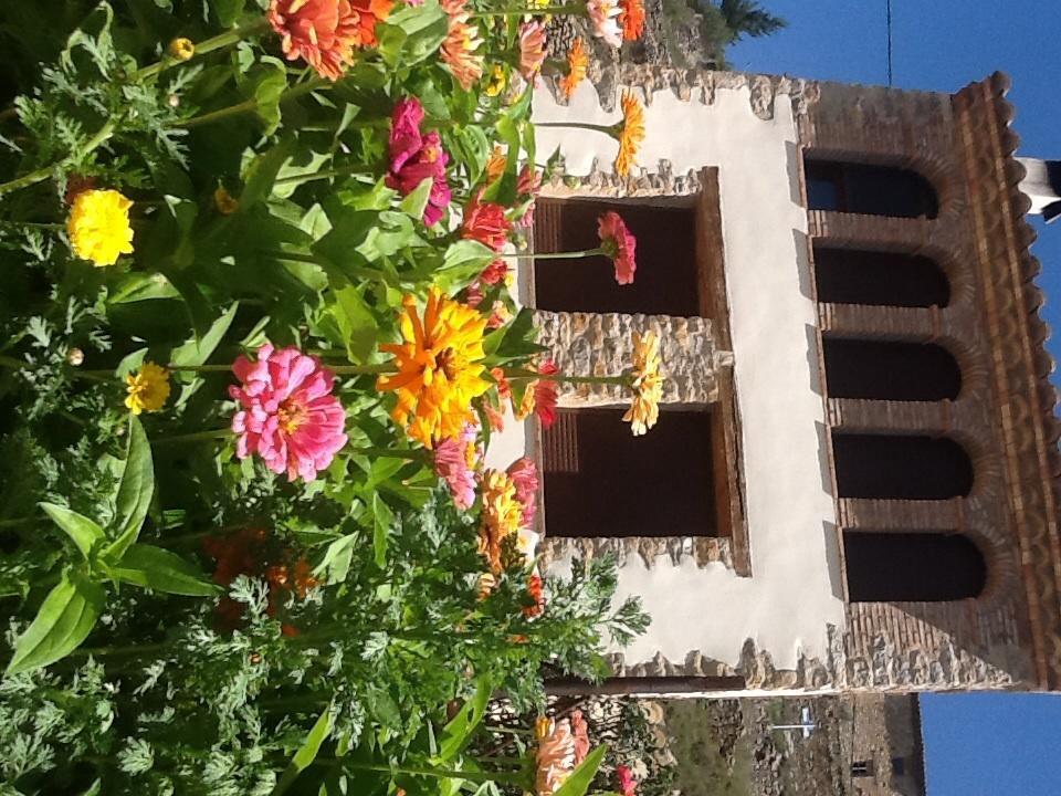 Holiday home Caseta De L' Hort