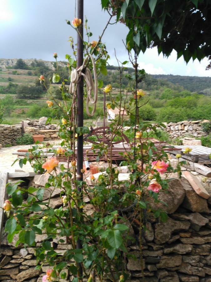 Holiday home Caseta De L' Hort