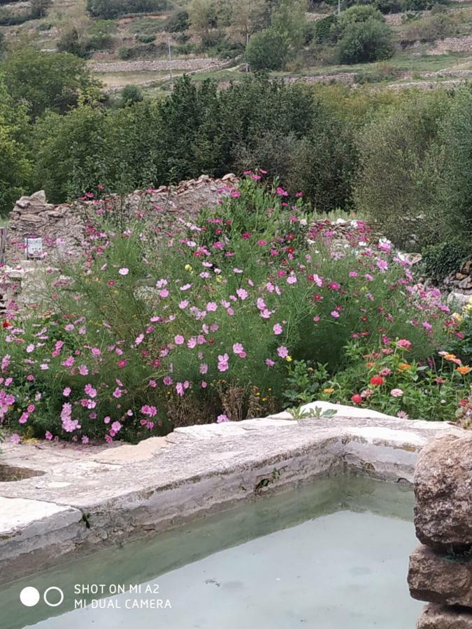 Caseta De L' Hort Holiday home *